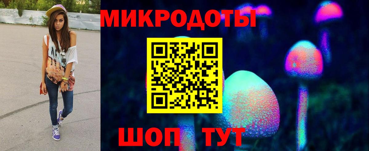 Галлюциногенные грибы Psilocybe  Вход с VPN  Луховицы 